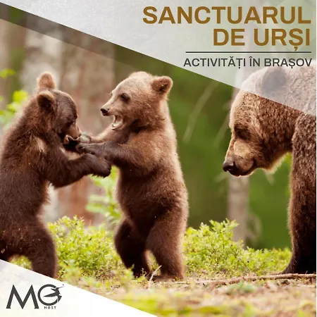 Mohost Urban - Chic Overlooking The Mountains Apartmán Brašov