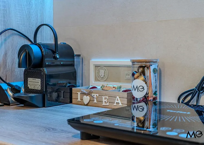 公寓 Mohost Urban - Chic Overlooking The Mountains 布拉索夫