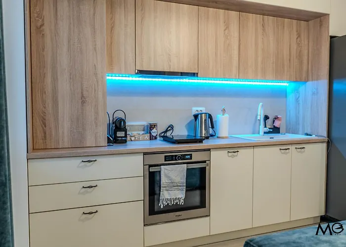 Mohost Urban - Chic Overlooking The Mountains 公寓 布拉索夫