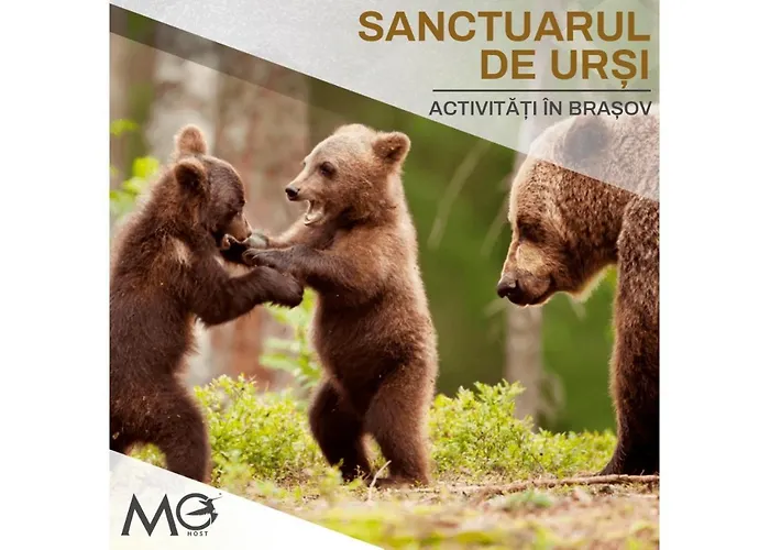 Mohost Urban - Chic Overlooking The Mountains Апартаменти Брашов